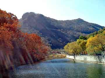 新澳天天开奖资料大全旅游团，有机气体